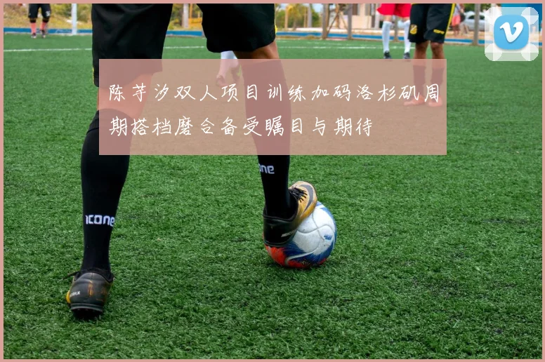 陈芋汐双人项目训练加码洛杉矶周期搭档磨合备受瞩目与期待